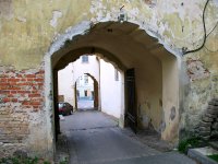 &quot;Senamiesčio durys&quot; Gintaras Vitulskis